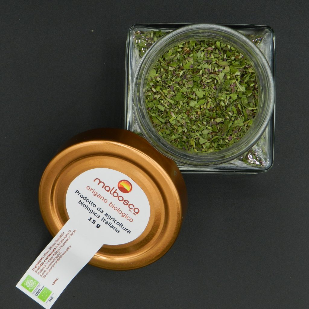Origano biologico in vasetto