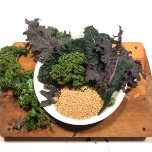 Zuppa di cavolo nero e cavolo riccio con farro
