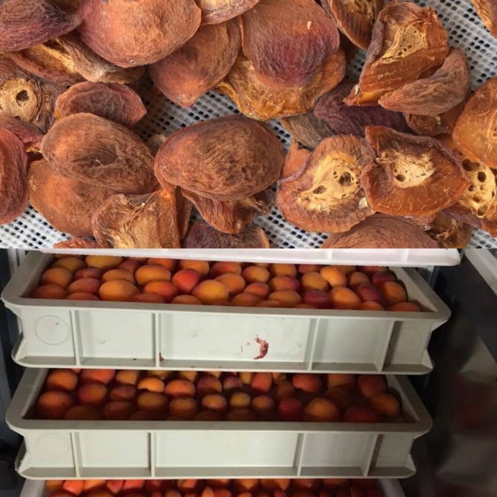 La frutta disidratata biologica