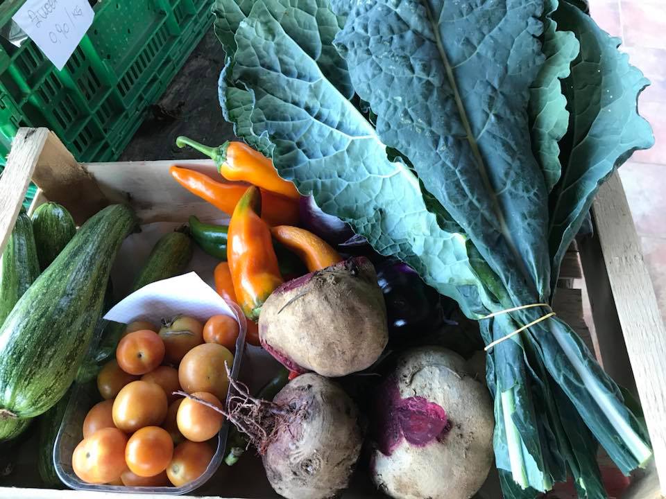 Verdure biologiche fresche Malbosca